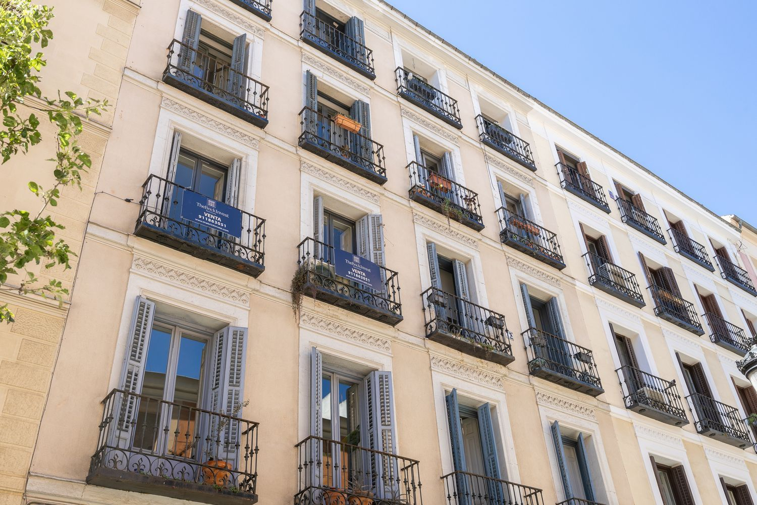 Marqués de Monasterio I