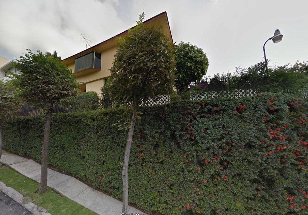 Imagen 1 de Bosque de Tulipanes I