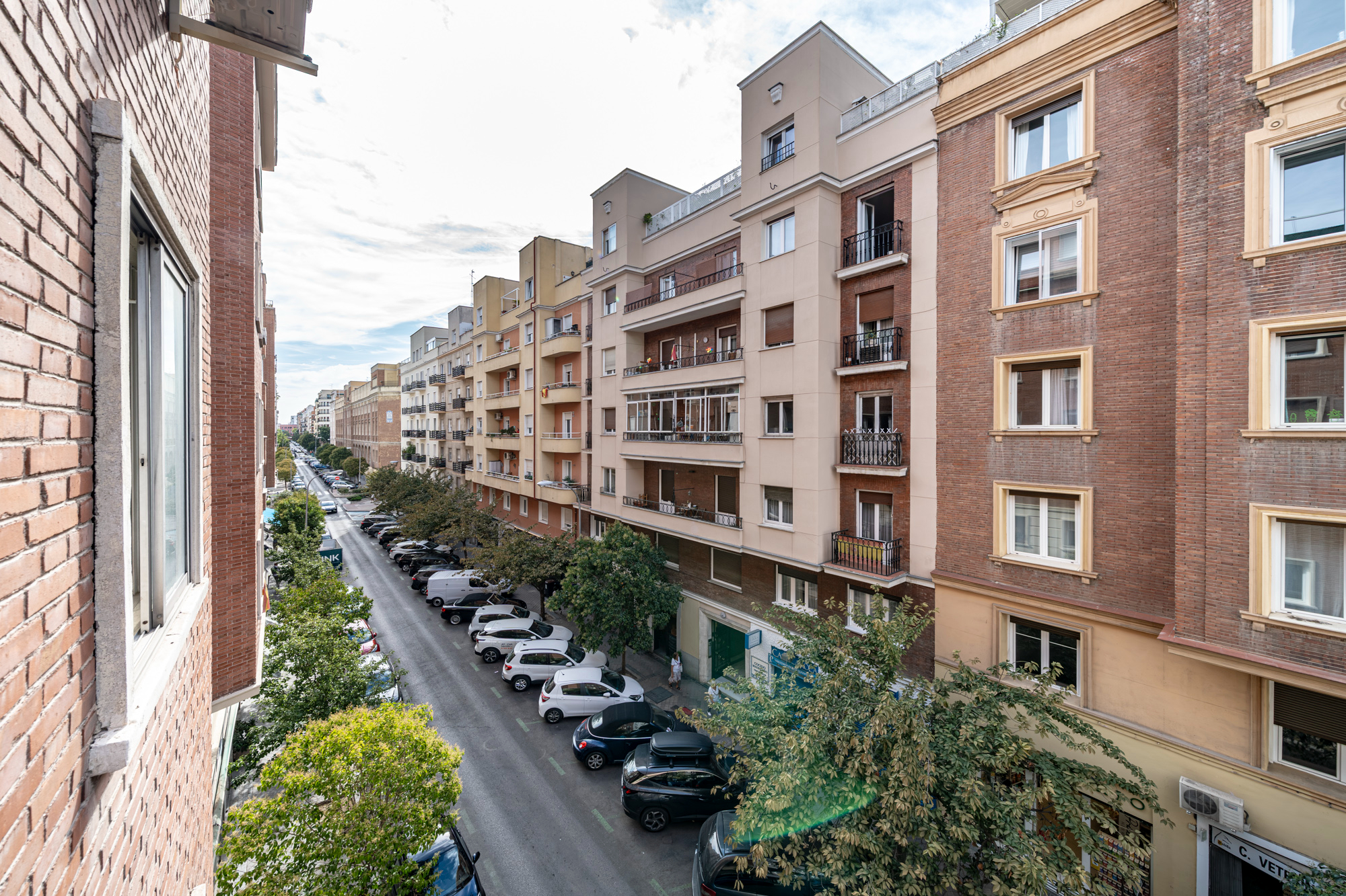 Imagen 1 de Padilla VIII