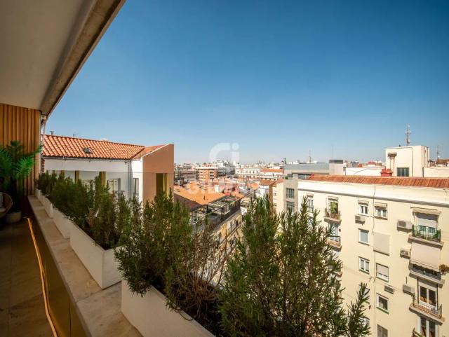 Imagen 5 de Luxury penthouse in Salamanca with terrace and garage