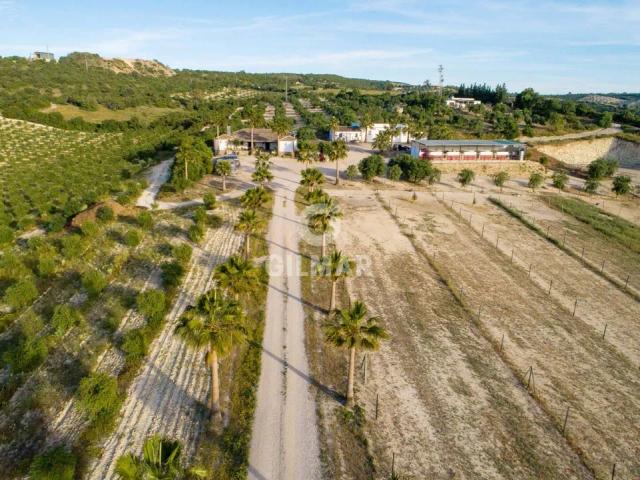 Imagen 2 de Rustic Farm in Arcos: 12 Hectares with Horse Stable and Apartments