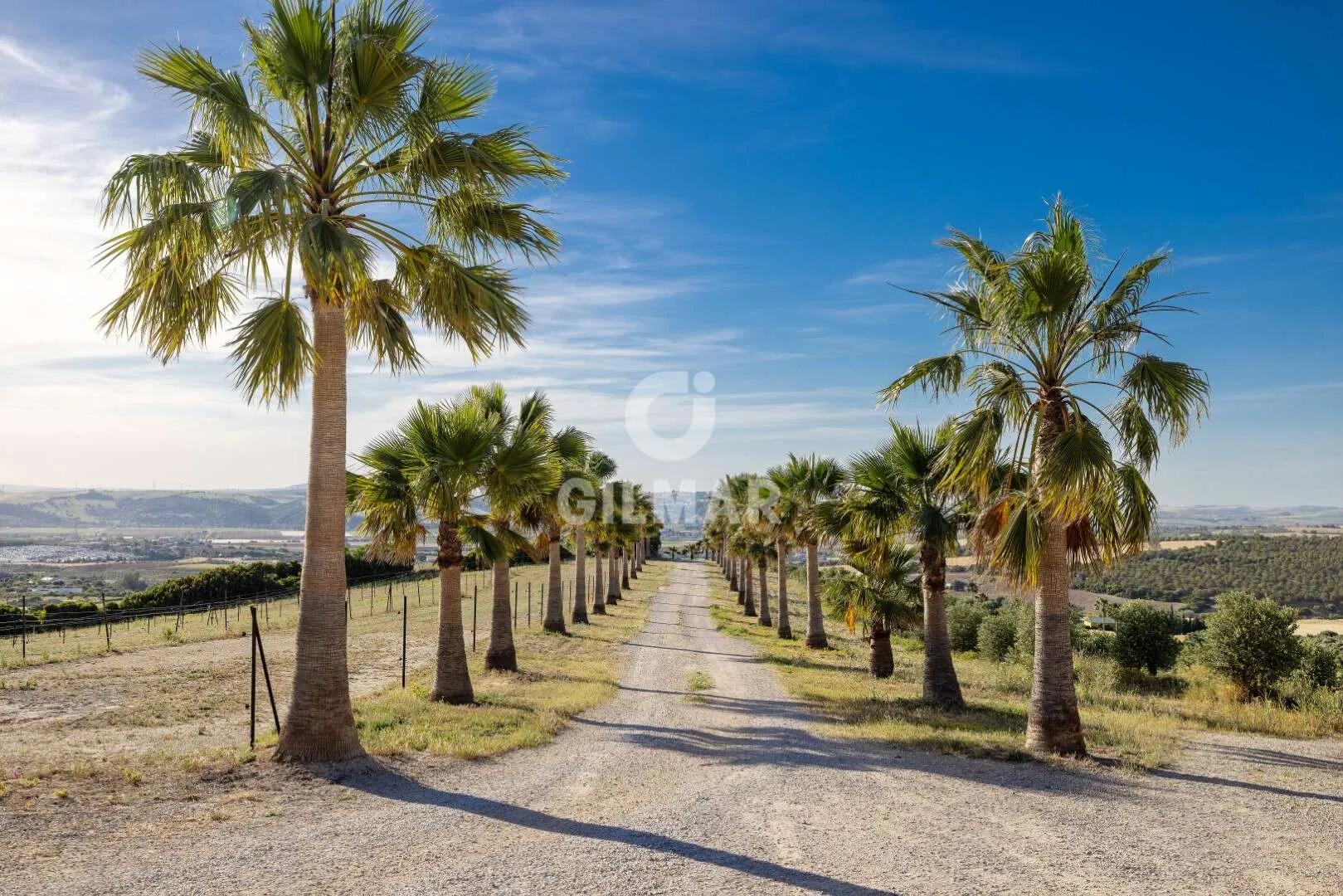 Finca Rústica en Arcos: 12 Hectáreas con Caballería y Apartamentos