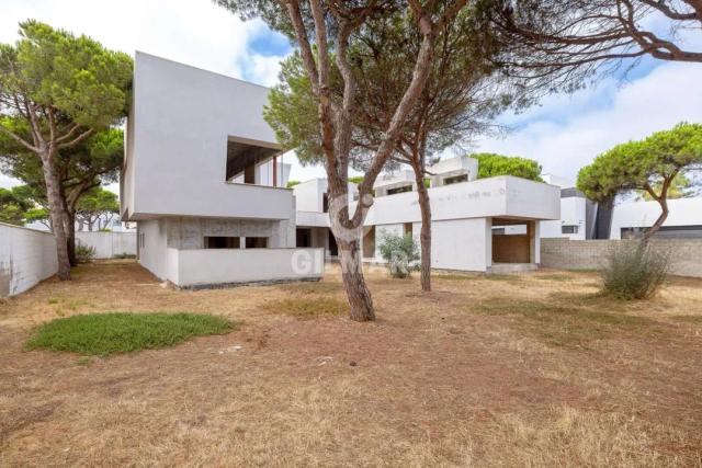 Imagen 3 de Luxury Villa in Chiclana: Unique Opportunity Near the Beach