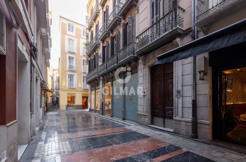 Unique Apartment in the Heart of Málaga image 0