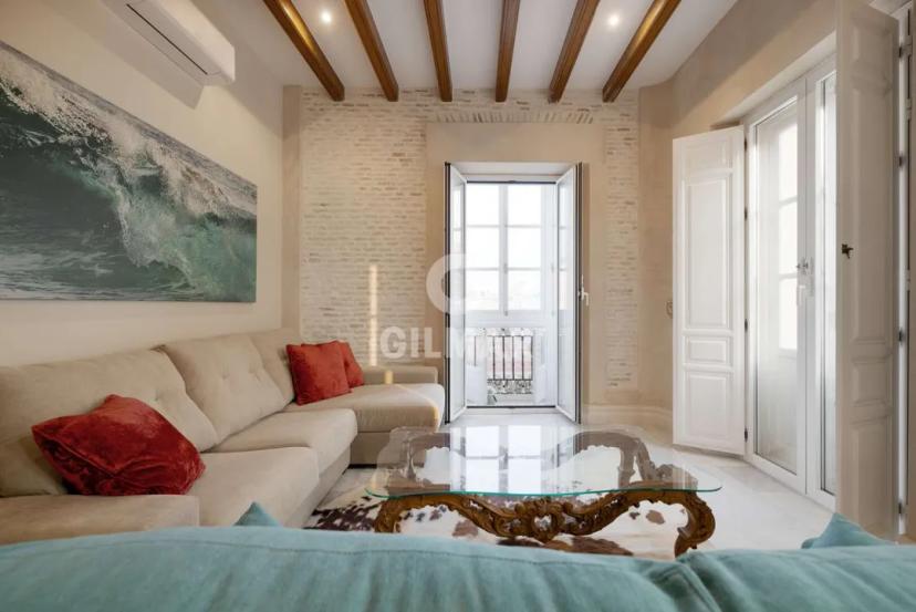 Elegant Bright Apartment in the Historic Center of Cádiz image 1